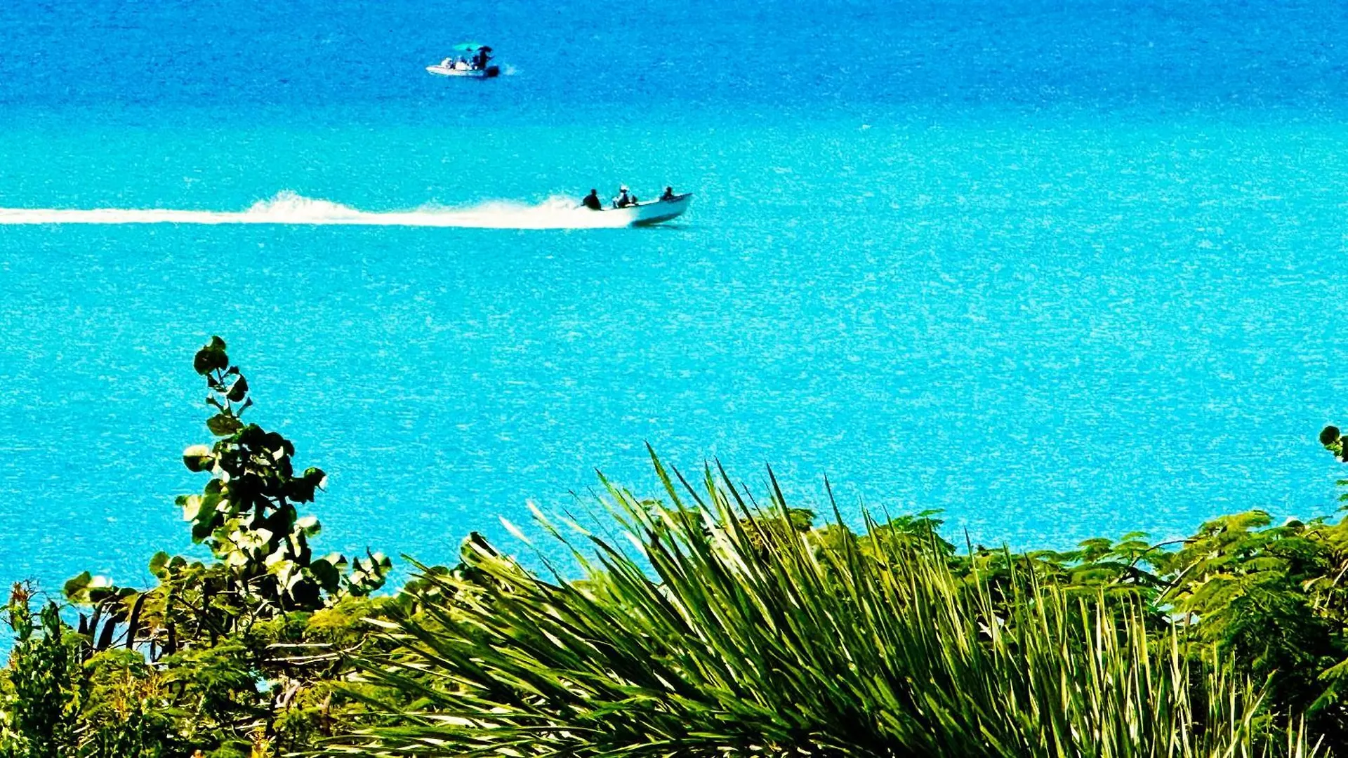 Apartment Ocean Luxe In Paradise - Le Paradis Royal Rincon